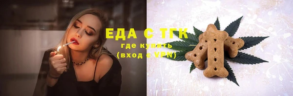 прущий лед Алзамай