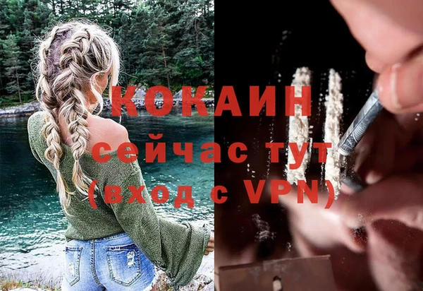 прущий лед Алзамай